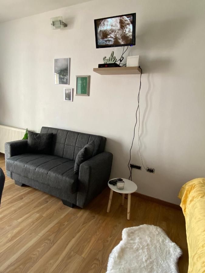 Green Studio 蒂米什瓦拉 外观 照片